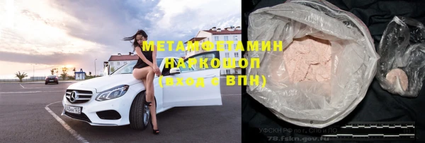 прущие грибы Бронницы