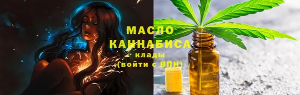 мдпв Богородск
