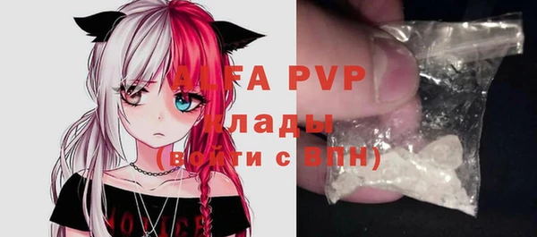 прущие грибы Бронницы