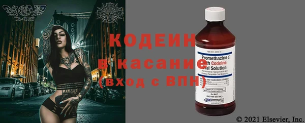 прущие грибы Бронницы