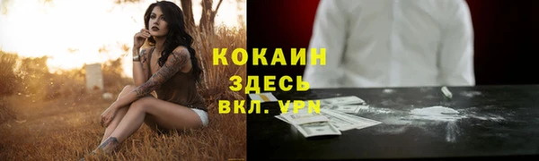 мяу мяу кристалл Богданович