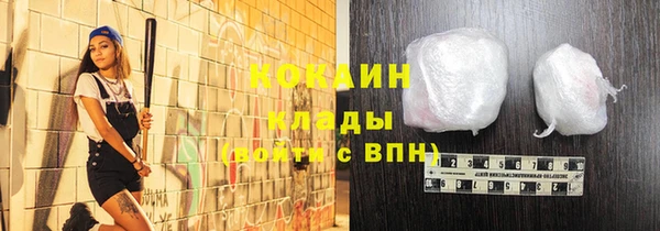 мдпв Богородск