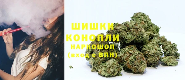 гашик Богородицк